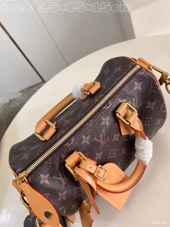 Best Price Cheap Louis Vuitton SPEEDY 25 0215