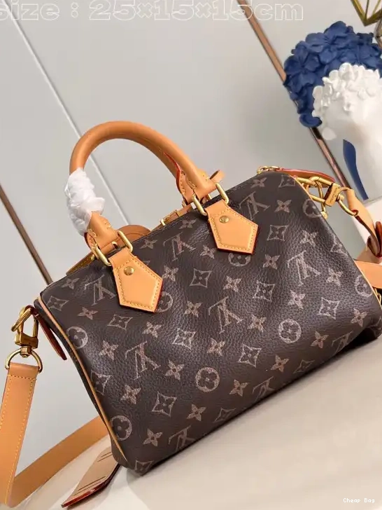 Best Price Cheap Louis Vuitton SPEEDY 25 0215