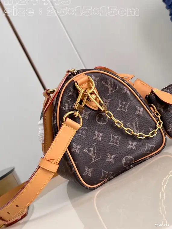 Best Price Cheap Louis Vuitton SPEEDY 25 0215