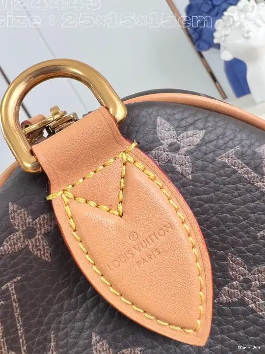 Best Price Cheap Louis Vuitton SPEEDY 25 0215