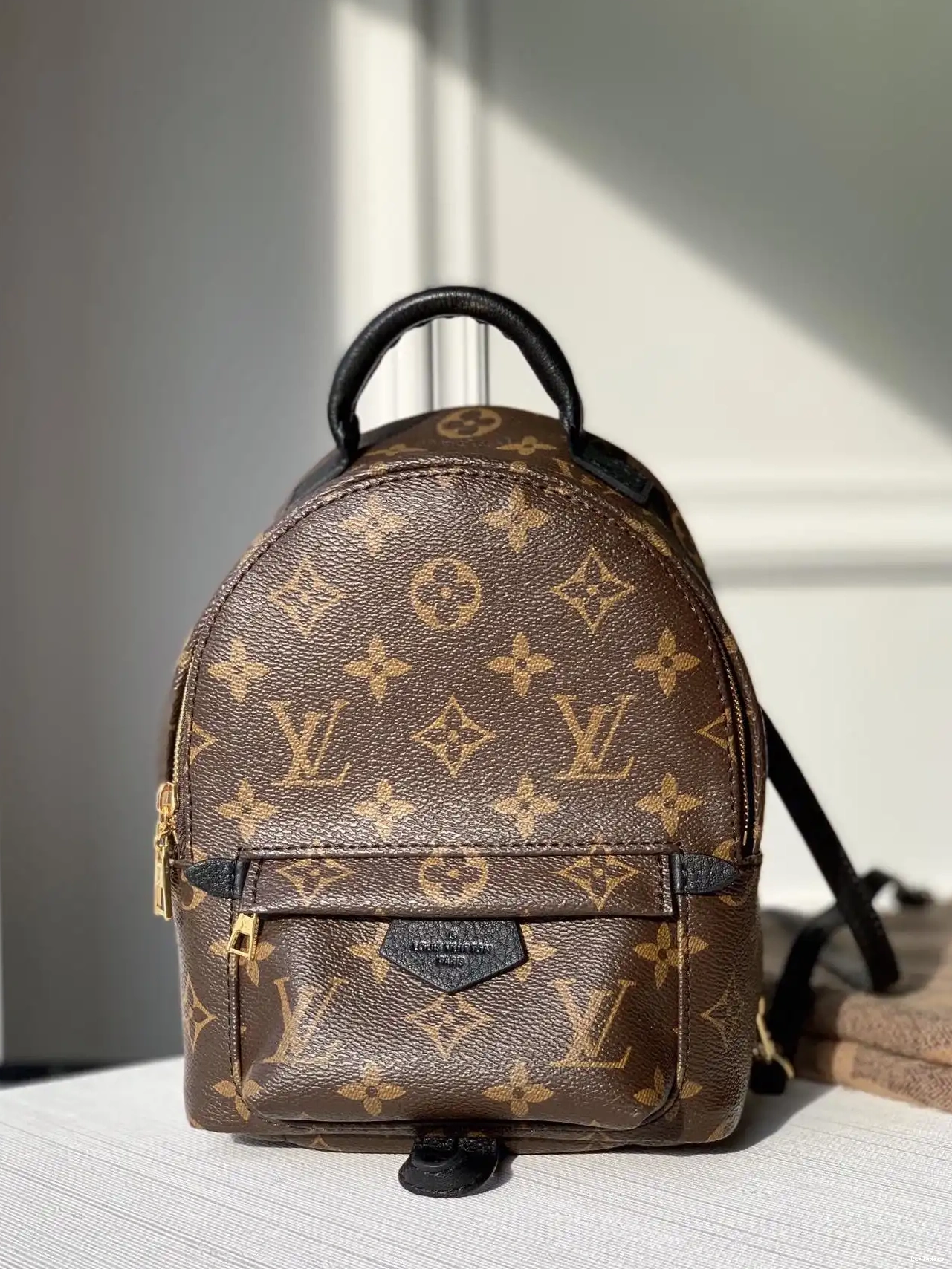 Original Cheap Cheap LOUIS VUITTON NEW MINI SPRINGS PALM EDITON 0216