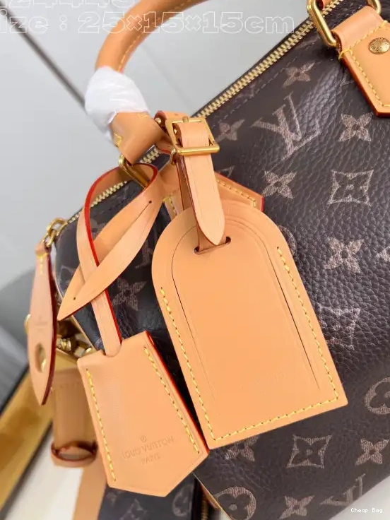 Best Price Cheap Louis Vuitton SPEEDY 25 0215