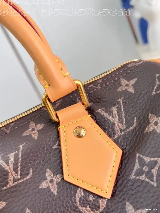 Best Price Cheap Louis Vuitton SPEEDY 25 0215