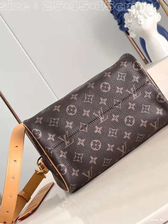 Best Price Cheap Louis Vuitton SPEEDY 25 0215