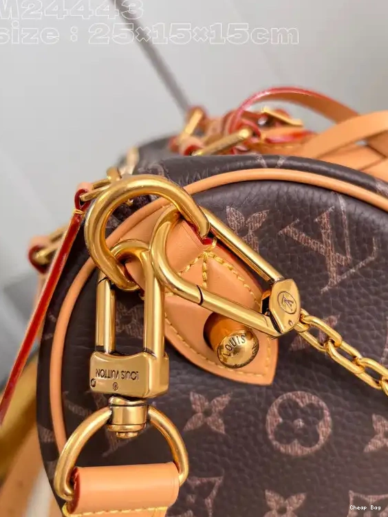 Best Price Cheap Louis Vuitton SPEEDY 25 0215