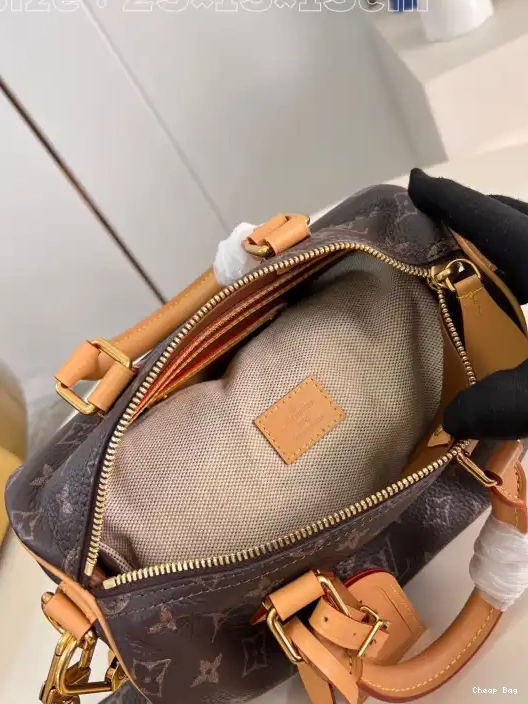 Best Price Cheap Louis Vuitton SPEEDY 25 0215